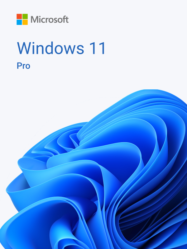Windows 11
