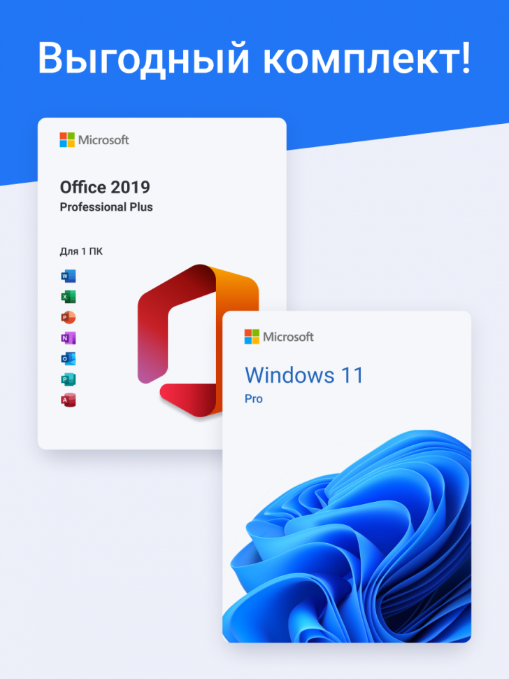 Windows 11 Pro + Office 2019 Professional Plus