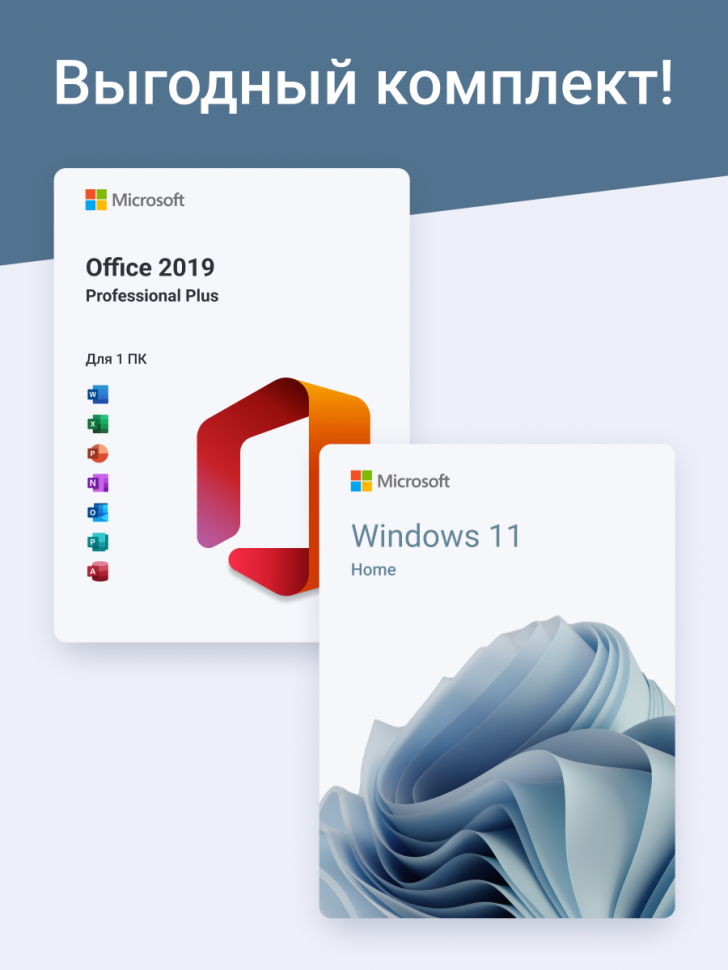 Windows 11 Home + Office Pro Plus 2019