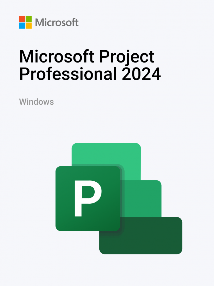 Microsoft Project Professional 2024