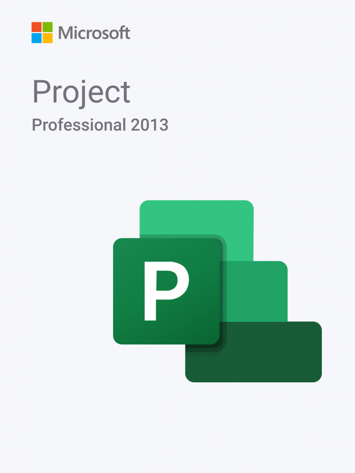 Microsoft Project Professional 2013